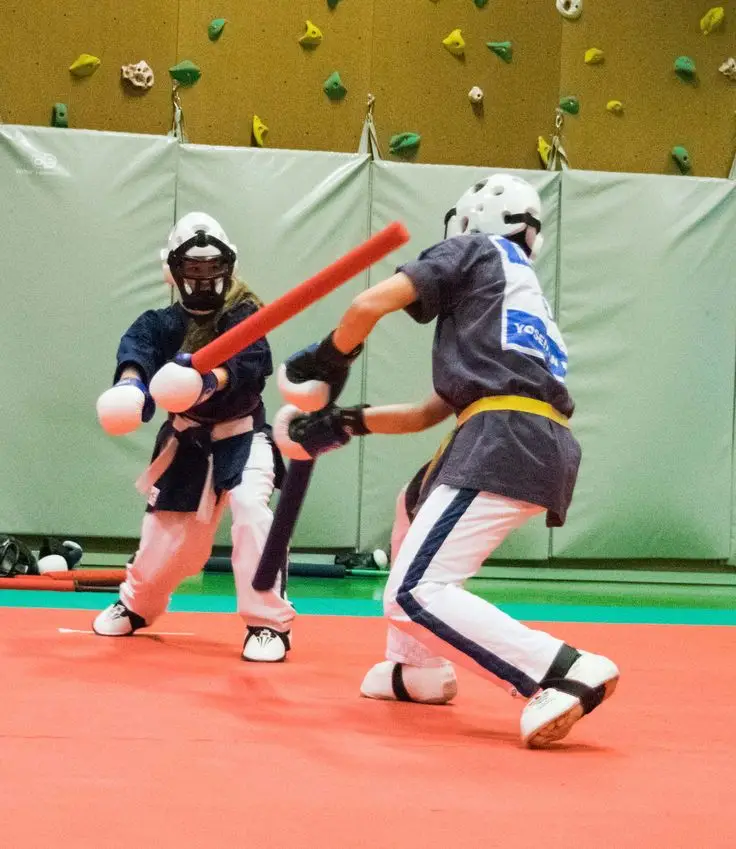 Combat tchobo yoseikan