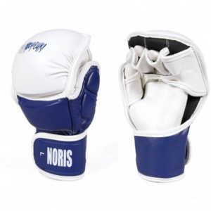 gants-de-combat-yoseikan