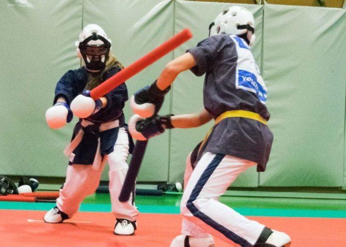 Combat tchobo yoseikan